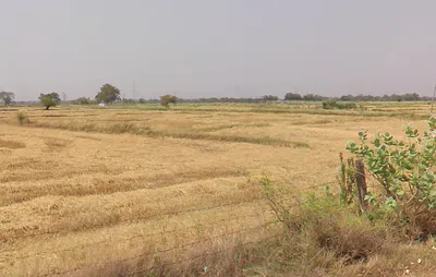 Gudguda, Chhattisgarh, India preview 2