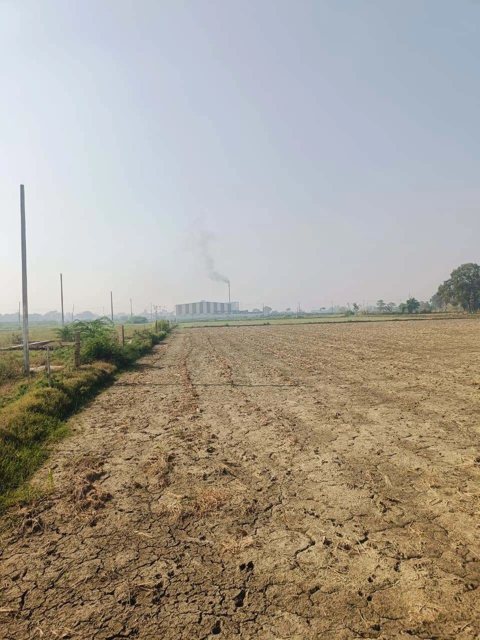 Barhana, Mathura, Uttar Pradesh, India - Photo 3