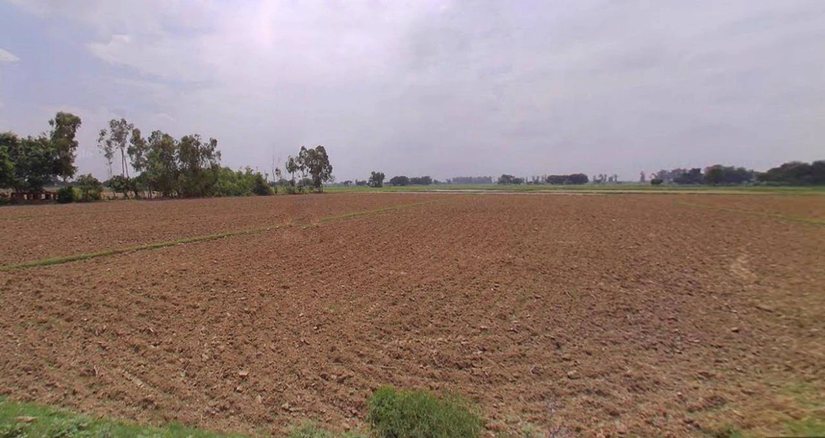 ward 10, Rajesh Ghatwal, Matindu Road, Kharkhoda, Haryana 131402, India