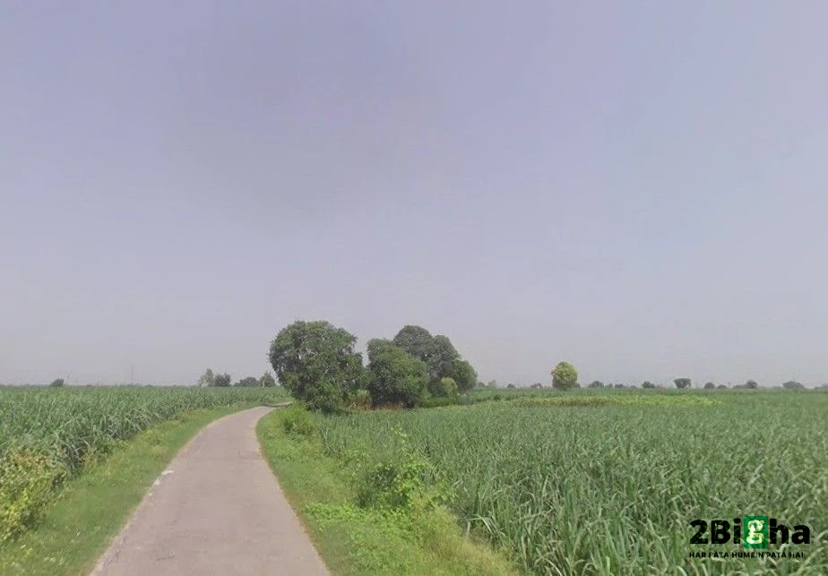 Pithlokar, Uttar Pradesh 250342, India