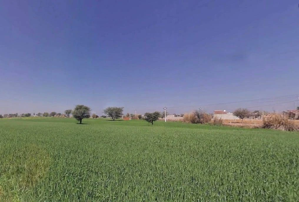 Aloda, Rajasthan 332602, India