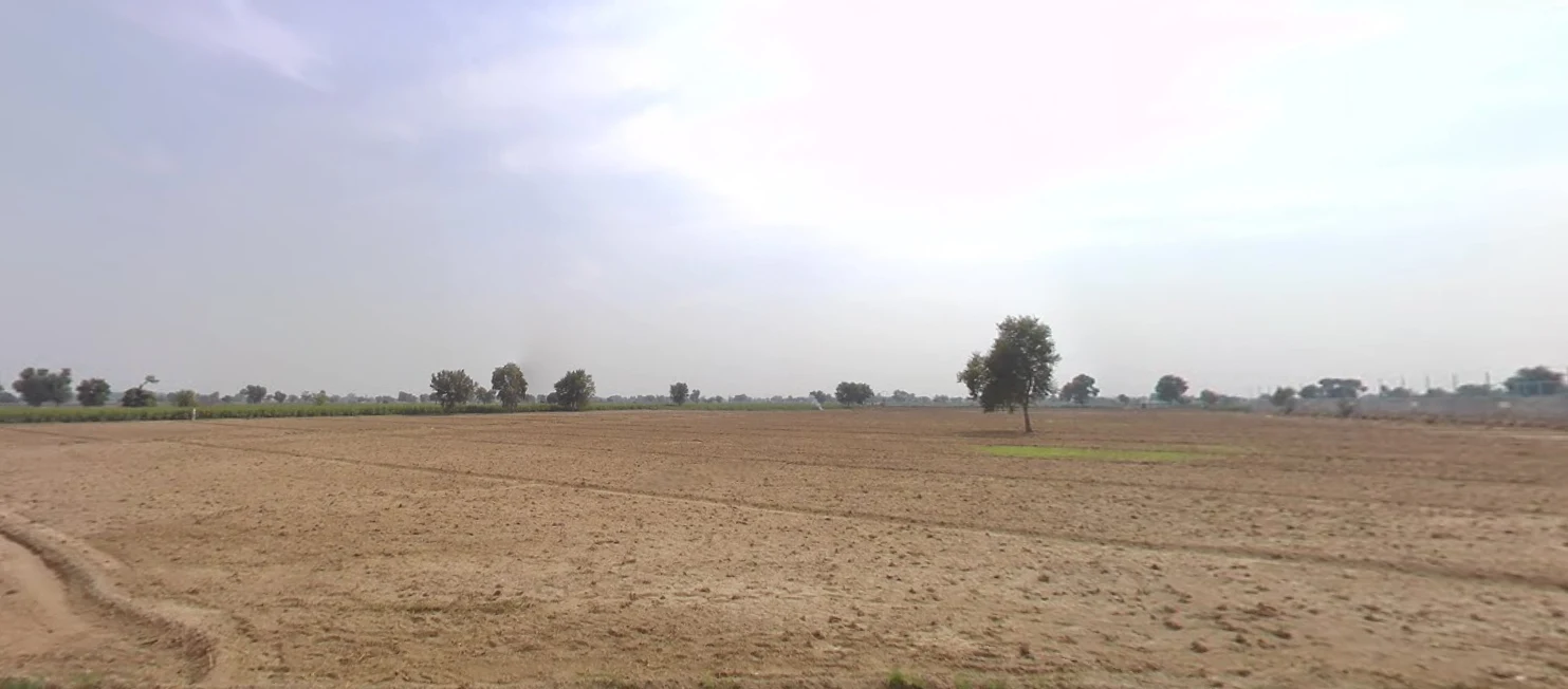 Neemla, Haryana 125102, India