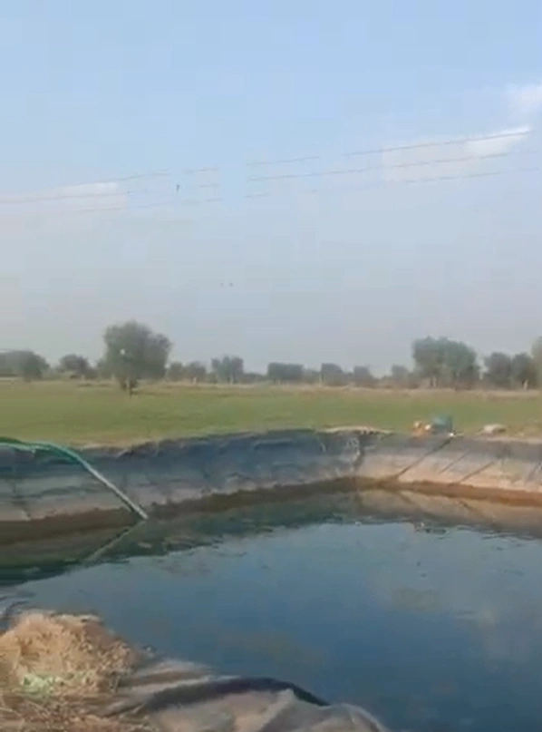 Bholasar Budhan, Bikaner, Rajasthan 334024, India