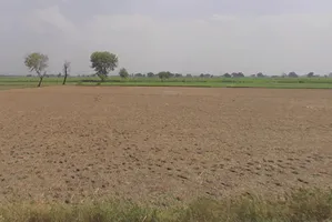 Baghpat, Uttar Pradesh 250609, India preview 3