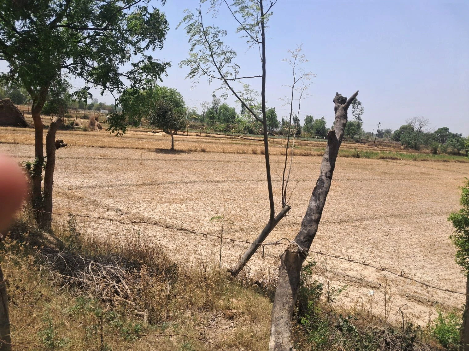 Poora Kalandar Thana - Billaharghat Road, Abanpur Saroha, Arwawa, Uttar Pradesh 224201, India