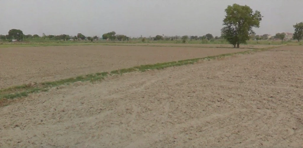 Bashara, Haryana 132115, India