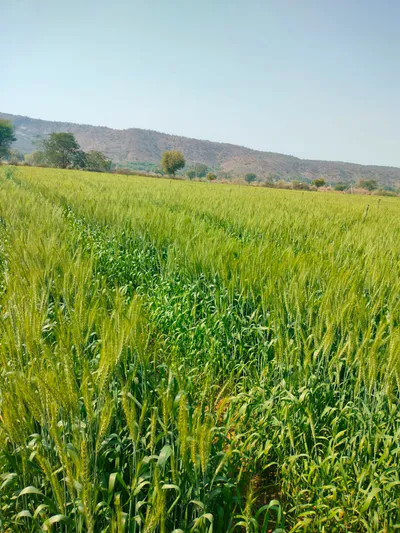 Parisal, Alwar, Alwar, Rajasthan, India preview 3