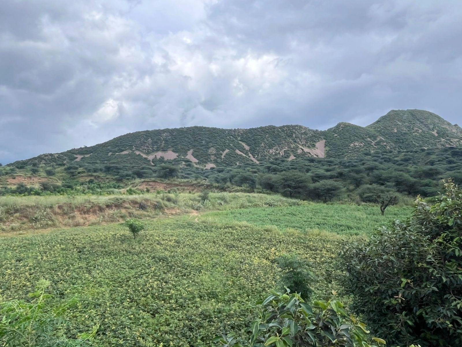 2QH7+4C Basant Bihar, Rajasthan, India