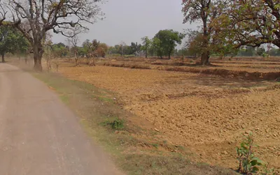 Gota, Chhattisgarh, India preview 3