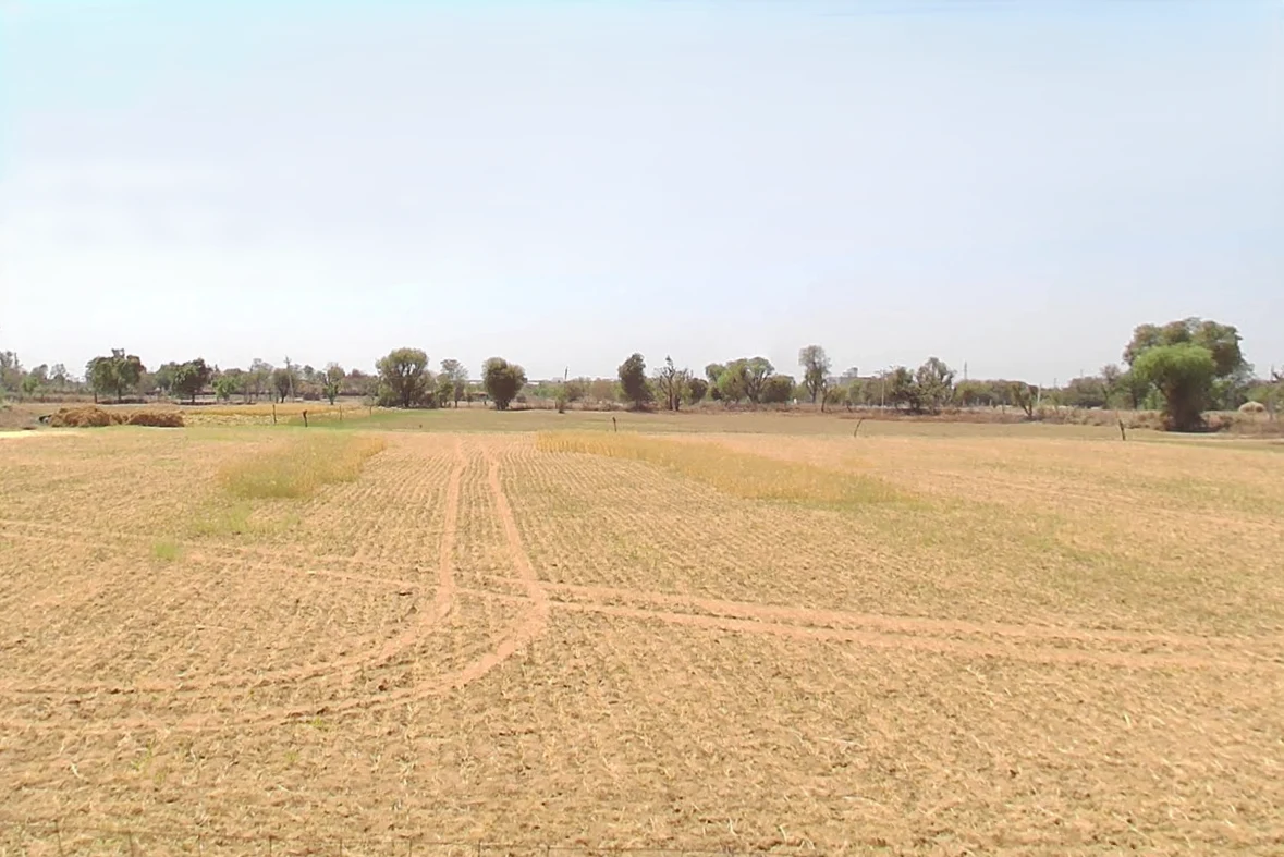 Badke Balaji - Dhankia Rd, Prithvisinghpura at Naiwala, Rajasthan, India