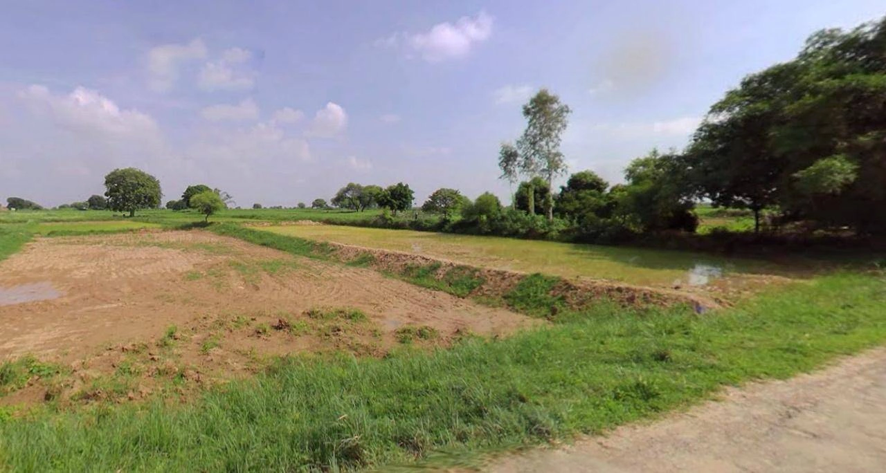 Jhajjar, Haryana 124103, India