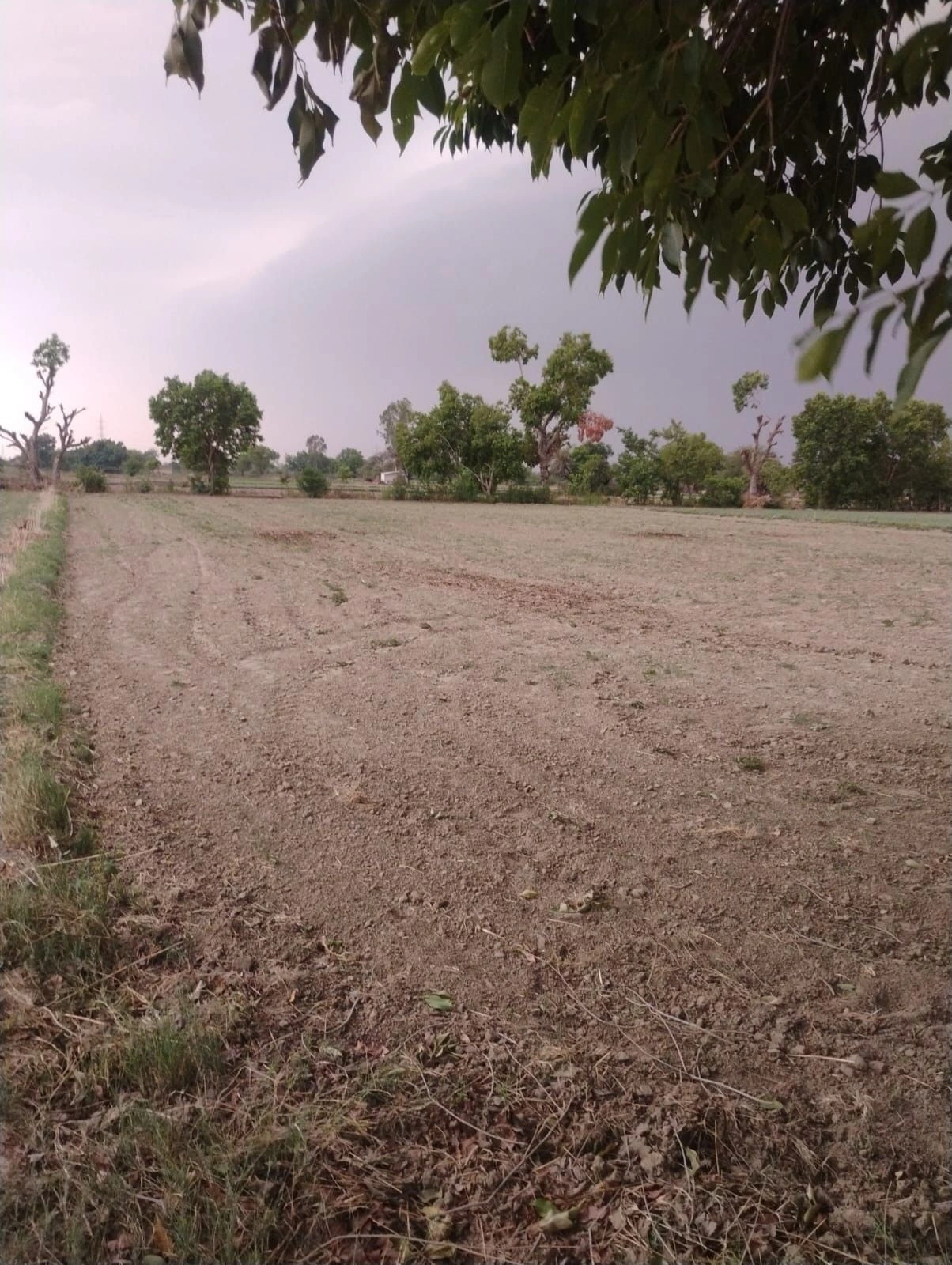 Chhabila Pur, Bihar 803116, India