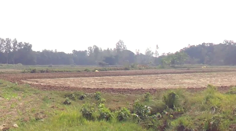 Suraiya Nagar, Madhya Pradesh 462042, India preview 2