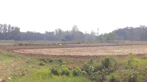 Suraiya Nagar, Madhya Pradesh 462042, India preview 2