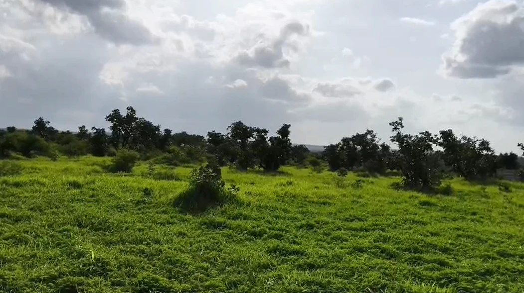 9VJG+5Q, Vikarabad, Kompally, Telangana 501102, India