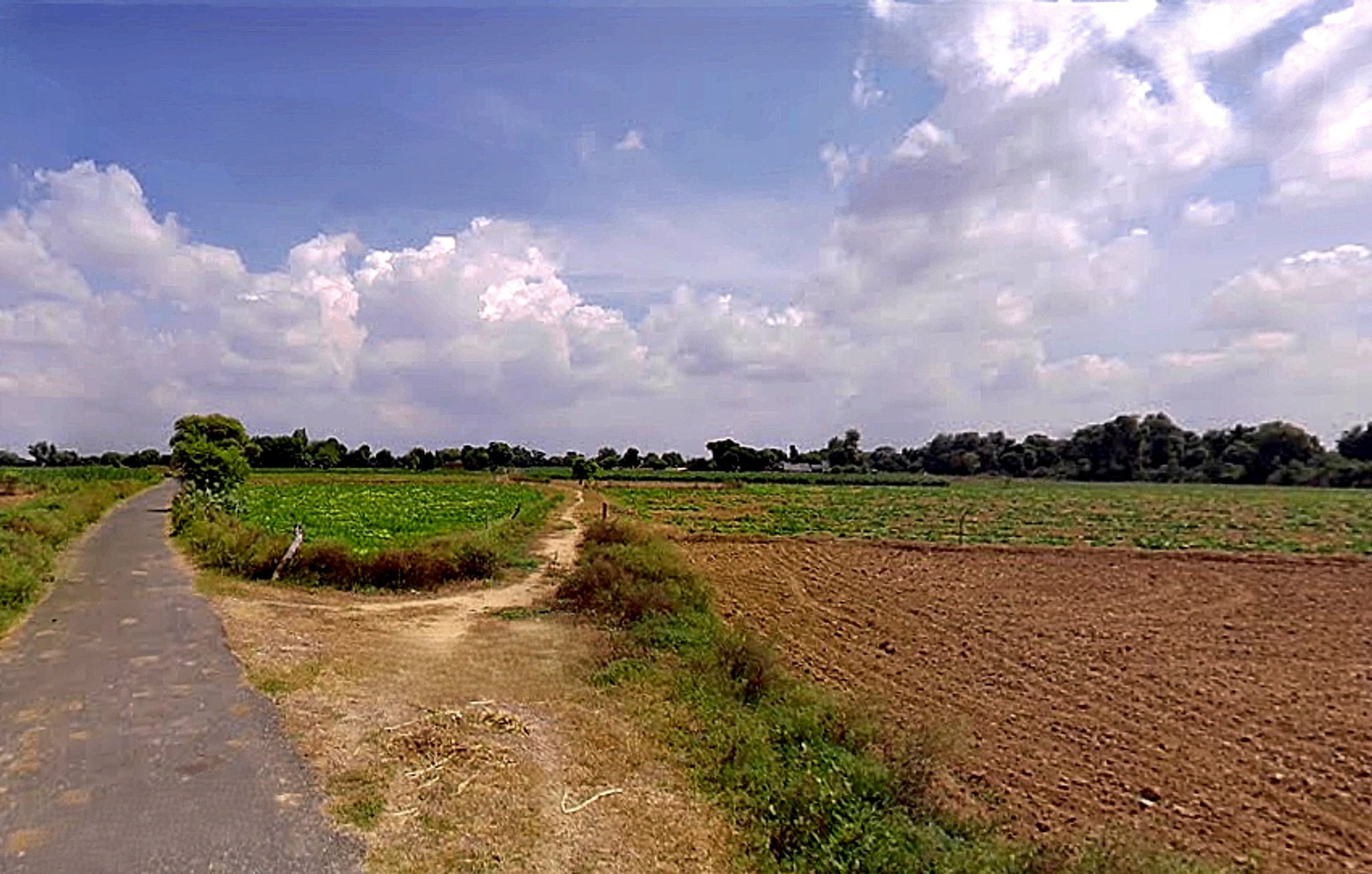 Raya, Uttar Pradesh 281204, India