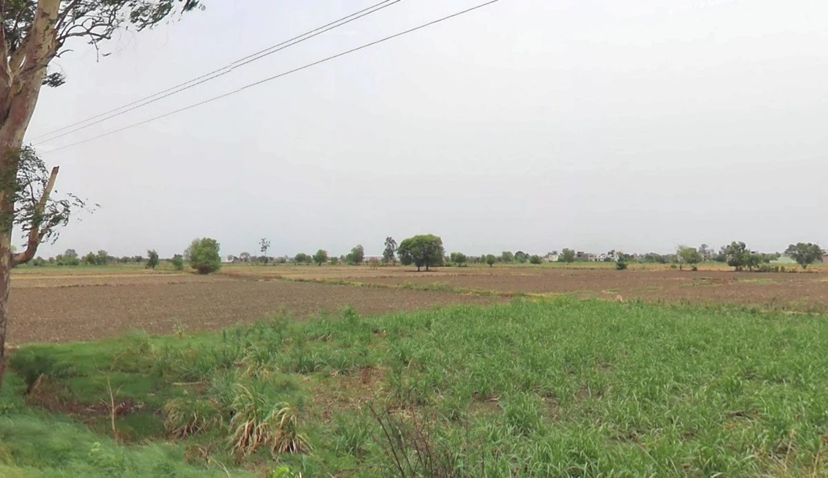Seoni, Madhya Pradesh 480661, India