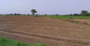 Karwi, Uttar Pradesh 210205, India preview 3