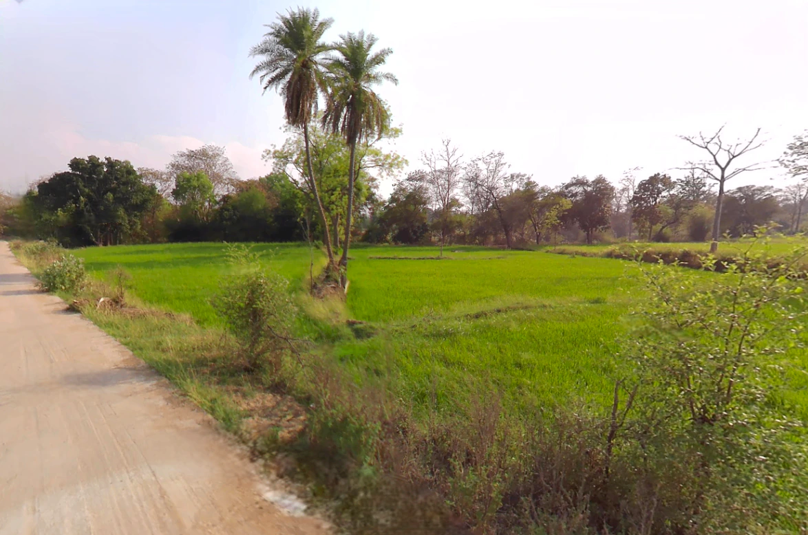 Amleshwar, Chhattisgarh 490042, India