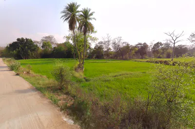 Amleshwar, Chhattisgarh 490042, India preview 3