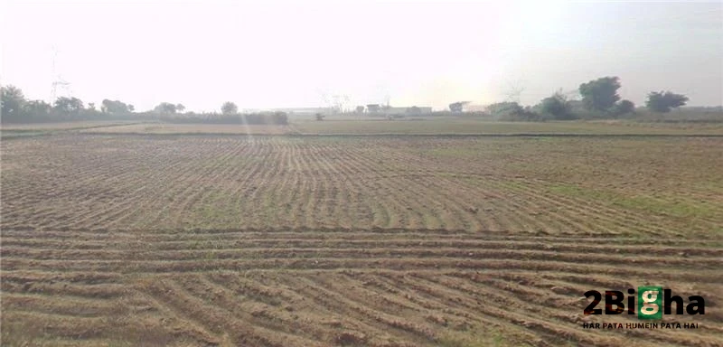 Garhi, Haryana 126116, India