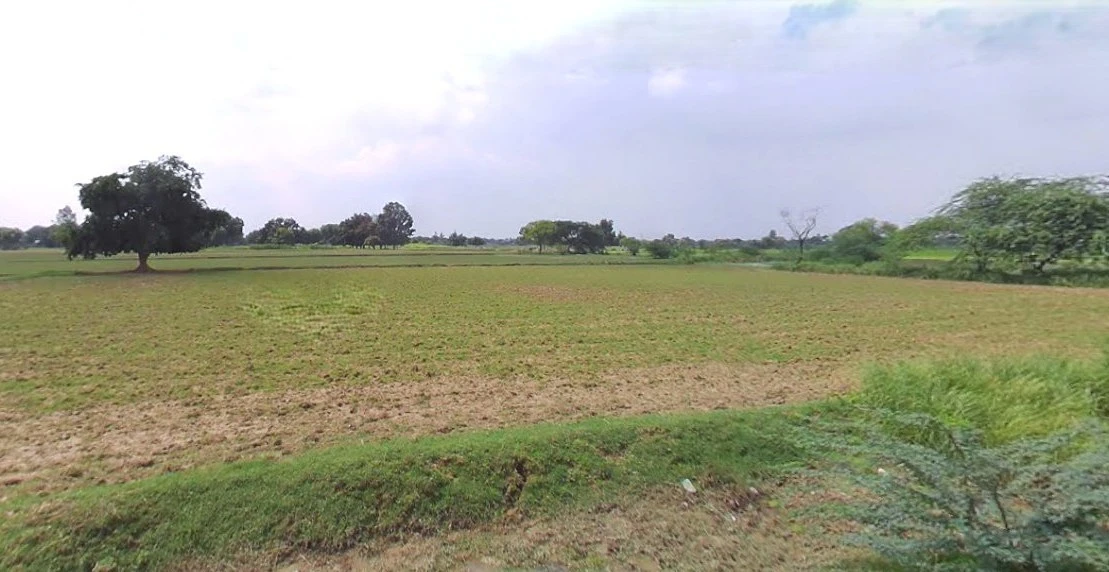 Barnagar, Madhya Pradesh 456771, India