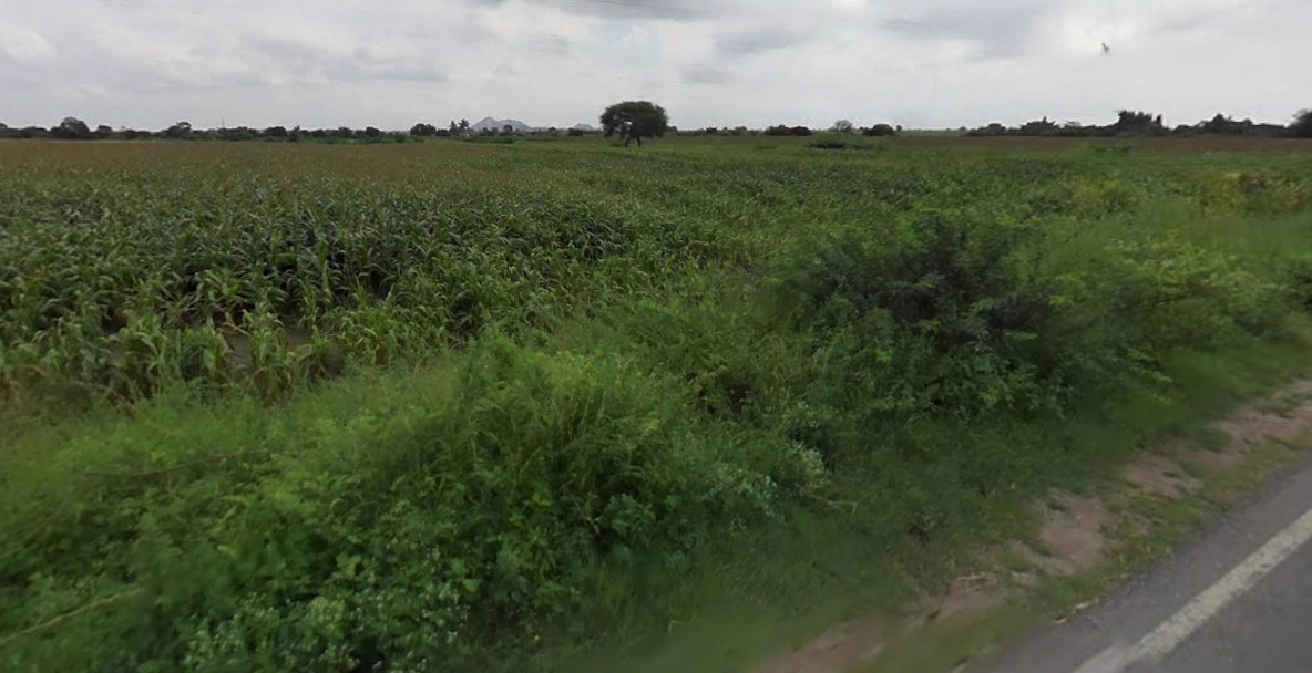 6W66+X5 Lakshmi Nagar Camp, Karnataka, India