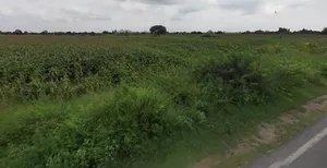 6W66+X5 Lakshmi Nagar Camp, Karnataka, India preview 3