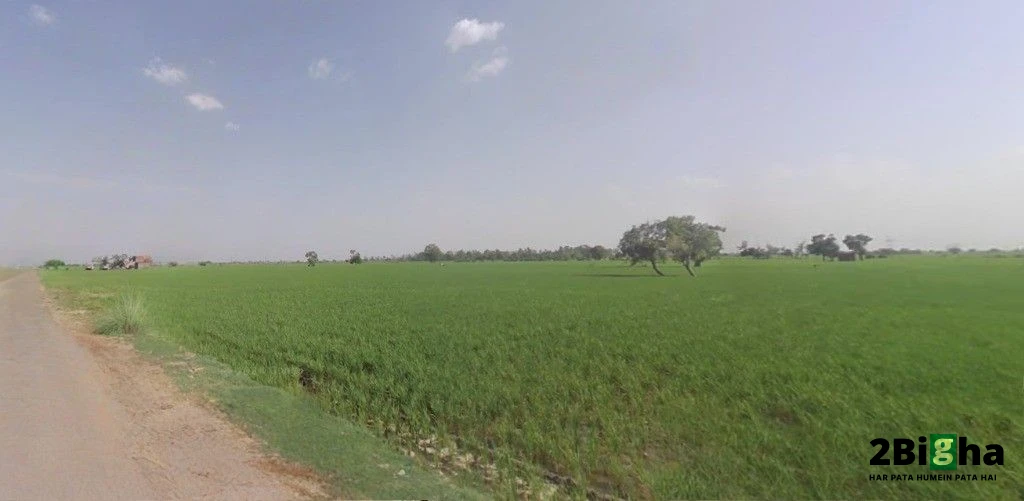 Pipaltha, Haryana 126116, India
