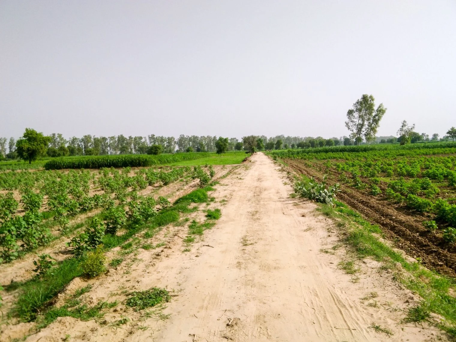 Kullu Khera, Uttar Pradesh 210122, India