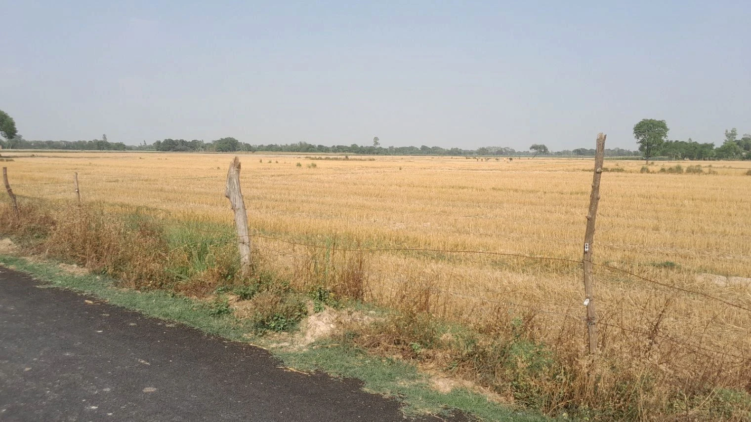 H2MQ+XQ, Padariya Dalelpur, Aadil Pur, Uttar Pradesh 224208, India