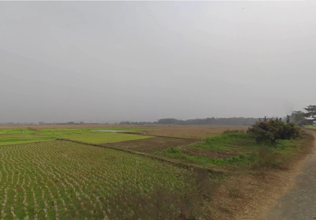 Birohi, Shitalatala, West Bengal 741245, India