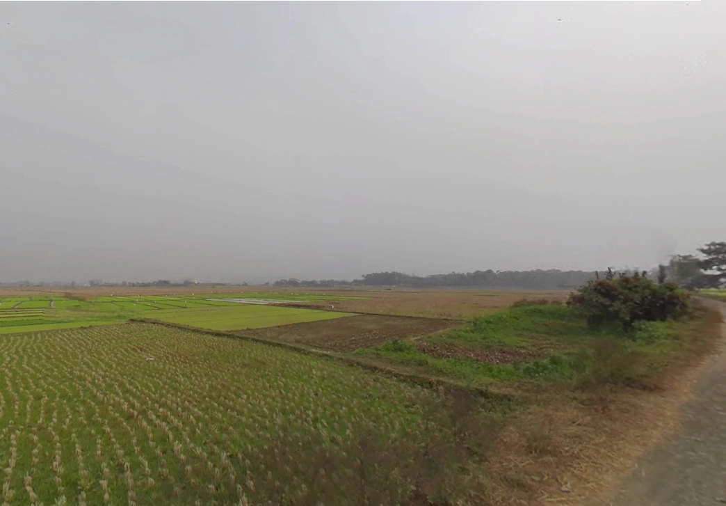 Birohi, Shitalatala, West Bengal 741245, India