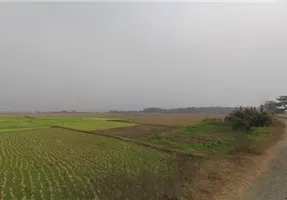 Birohi, Shitalatala, West Bengal 741245, India preview 3