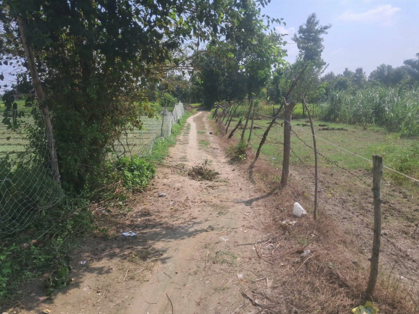 V7H3+96 Sikandarpur Khas, Basti, Uttar Pradesh, India