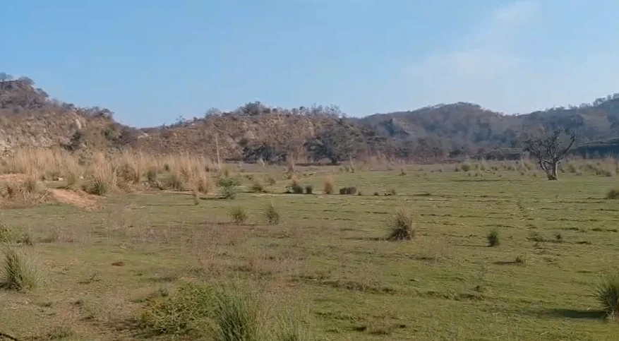 Nahan, Himachal Pradesh 173001, India