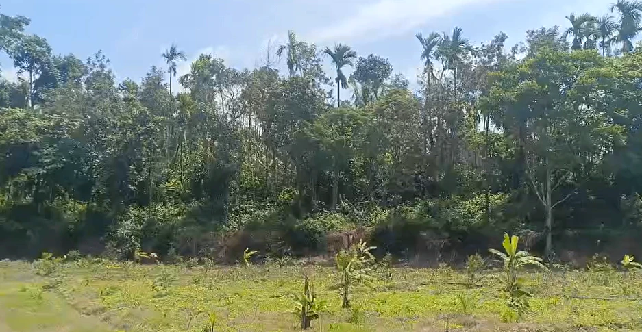 Rajewadi, Palghar, Maharashtra 401603, India