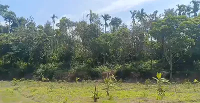 Rajewadi, Palghar, Maharashtra 401603, India preview 2
