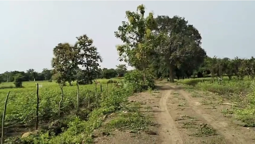 5JMX+G3 Kalkuhi, Maharashtra, India