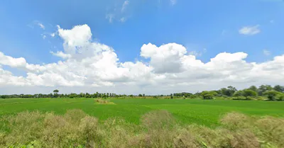 Barjora, West Bengal 722202, India preview 3