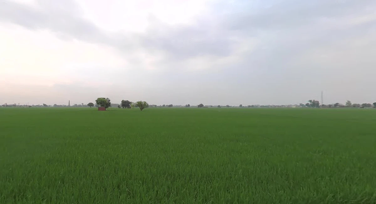 Devigarh, Punjab 147111, India