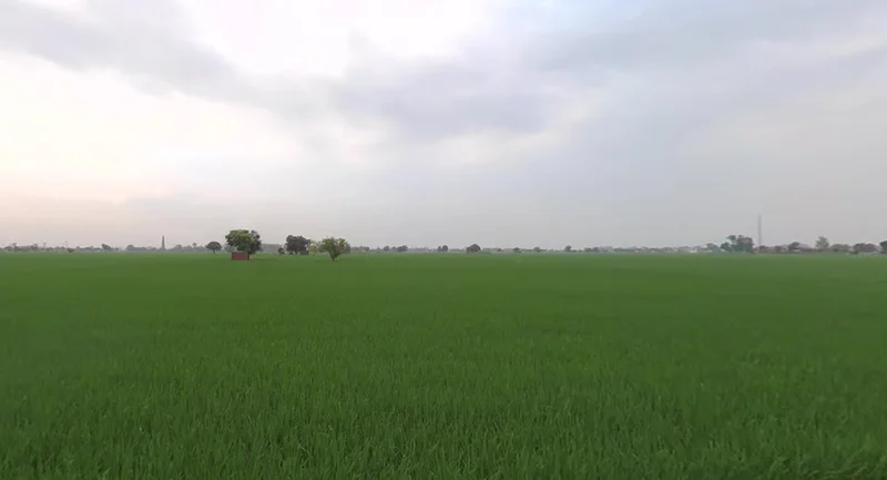 Devigarh, Punjab 147111, India preview 2