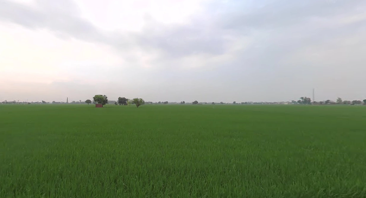 Devigarh, Punjab 147111, India