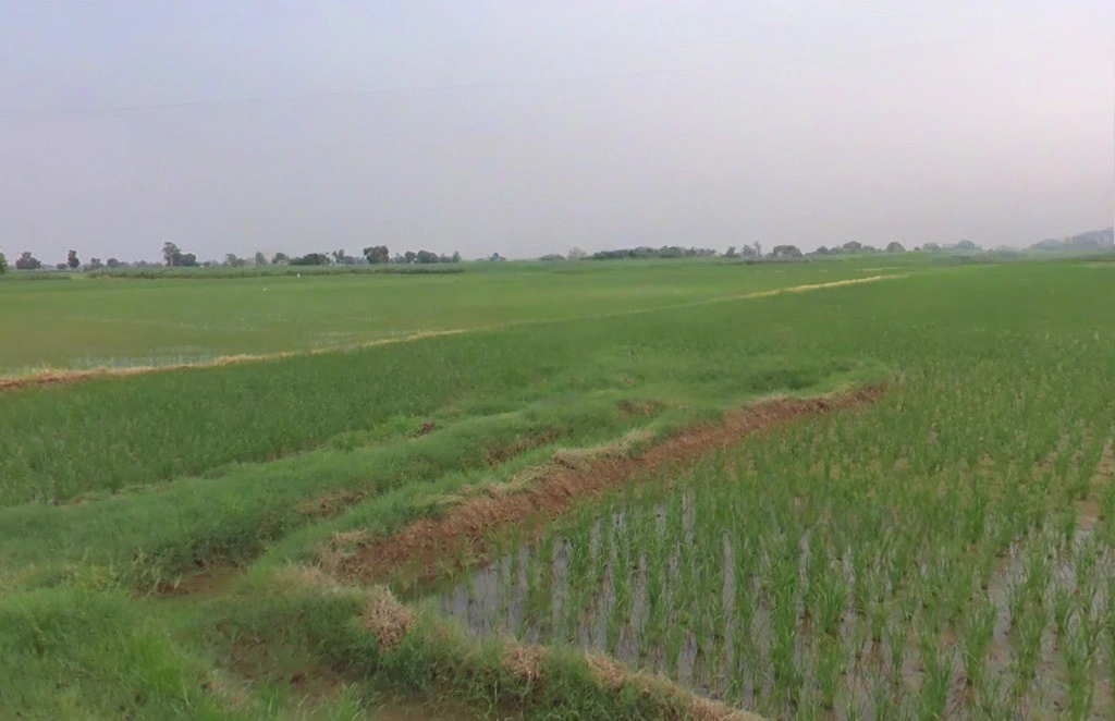 Amtara, Chhattisgarh 495009, India