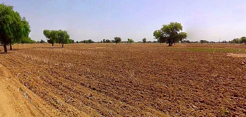 Chandla, Madhya Pradesh 471525, India preview 2