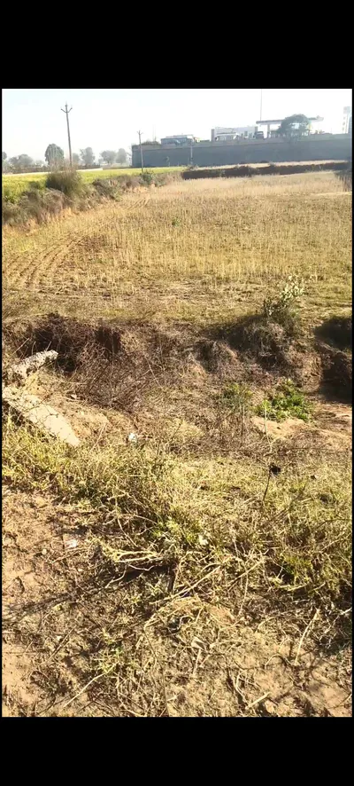खोरपुरी, राजस्थान 301021, भारत preview 2