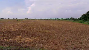 Barsana, Uttar Pradesh 281405, India preview 3