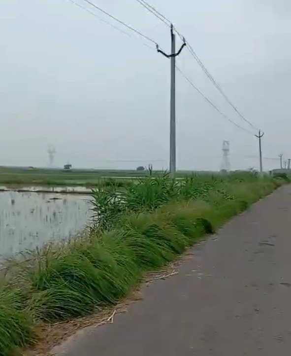 Badli, Haryana 124105, India