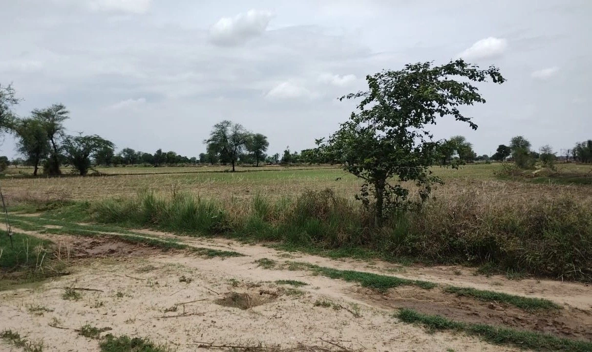 Naugaon, Rajasthan 301025, India
