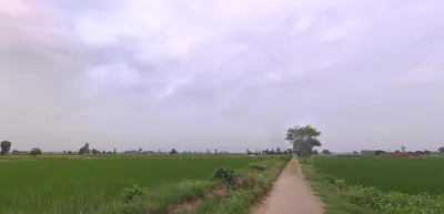 Balachaur, Punjab 144521, India preview 3